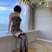 ヒメ日記 2026/03/23 08:10 投稿 メル【宮崎っ子】 Alice