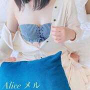 ヒメ日記 2026/04/03 12:15 投稿 メル【宮崎っ子】 Alice