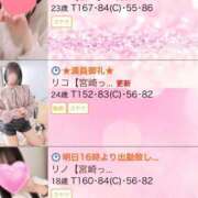 ヒメ日記 2024/12/17 18:08 投稿 リコ【宮崎っ子】 Alice