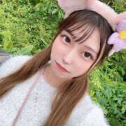 ヒメ日記 2026/04/11 11:21 投稿 はな 千葉松戸ちゃんこ