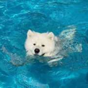 ヒメ日記 2025/12/25 19:27 投稿 シラユキ NEW GENERATION