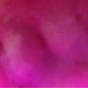 ヒメ日記 2026/02/28 22:37 投稿 ミル ギャルズネットワーク 姫路