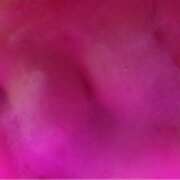 ヒメ日記 2026/02/28 22:39 投稿 みる プロフィール姫路