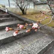 ヒメ日記 2026/03/24 10:18 投稿 うみ ごほうびSPA京都店