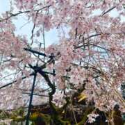ヒメ日記 2026/04/07 16:38 投稿 うみ ごほうびSPA京都店
