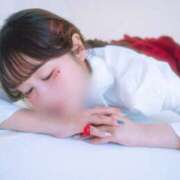 ヒメ日記 2025/08/23 12:03 投稿 まき 素人系イメージSOAP彼女感大宮館