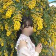 ヒメ日記 2026/04/29 00:05 投稿 まき 素人系イメージSOAP彼女感大宮館