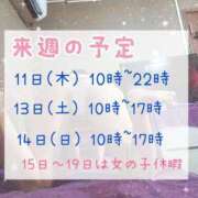 ヒメ日記 2024/01/02 18:01 投稿 もも アラビアンナイト