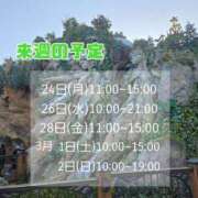 ヒメ日記 2025/02/18 18:02 投稿 もも アラビアンナイト