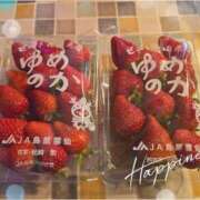 ヒメ日記 2025/04/25 23:03 投稿 もも アラビアンナイト