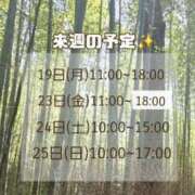 ヒメ日記 2025/05/14 15:00 投稿 もも アラビアンナイト