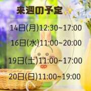 ヒメ日記 2025/07/08 21:12 投稿 もも アラビアンナイト