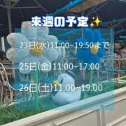 ヒメ日記 2025/07/15 15:01 投稿 もも アラビアンナイト