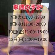 ヒメ日記 2025/09/30 17:01 投稿 もも アラビアンナイト