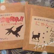 ヒメ日記 2025/10/13 18:45 投稿 もも アラビアンナイト