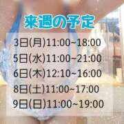 ヒメ日記 2025/10/29 16:45 投稿 もも アラビアンナイト