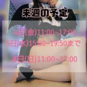 ヒメ日記 2026/01/28 17:15 投稿 もも アラビアンナイト