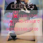 ヒメ日記 2026/01/29 00:31 投稿 もも アラビアンナイト