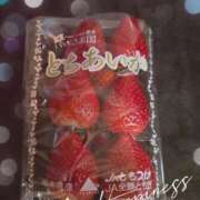 ヒメ日記 2026/02/19 22:45 投稿 もも アラビアンナイト