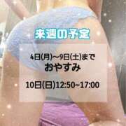 もも 🗓 アラビアンナイト