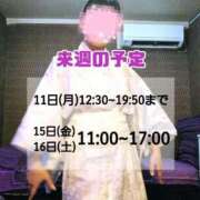 ヒメ日記 2026/05/04 20:00 投稿 もも アラビアンナイト