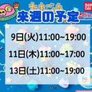 ヒメ日記 2026/06/01 07:15 投稿 もも アラビアンナイト