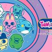 ヒメ日記 2026/07/28 07:01 投稿 もも アラビアンナイト