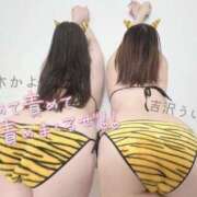 ヒメ日記 2025/02/13 10:02 投稿 国木 BBW札幌店