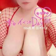 ヒメ日記 2026/02/01 09:59 投稿 国木 BBW札幌店