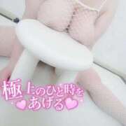 ヒメ日記 2026/02/10 16:25 投稿 国木 BBW札幌店