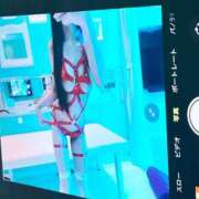 ヒメ日記 2025/11/18 19:30 投稿 めい Number Five 品川（シンデレラグループ）