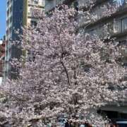 ヒメ日記 2026/03/29 14:49 投稿 ほほえみ もしも優しいお姉さんが本気になったら...横浜店