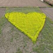 ヒメ日記 2026/04/06 21:44 投稿 ゆら ふわふわコレクション