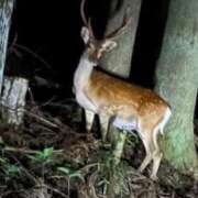 ヒメ日記 2025/09/21 00:46 投稿 なるみ 太田人妻城