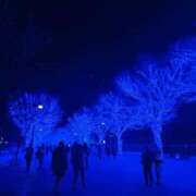 ヒメ日記 2024/12/13 20:47 投稿 千秋（チアキ） アバンチュール(五反田)