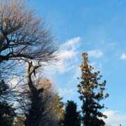 ヒメ日記 2025/01/13 23:31 投稿 千秋（チアキ） アバンチュール(五反田)