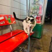 ヒメ日記 2025/02/17 22:31 投稿 千秋（チアキ） アバンチュール(五反田)