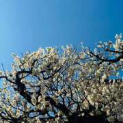 ヒメ日記 2025/02/28 17:31 投稿 千秋（チアキ） アバンチュール(五反田)