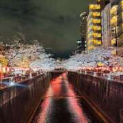 ヒメ日記 2025/03/29 13:46 投稿 千秋（チアキ） アバンチュール(五反田)