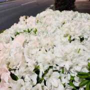 ヒメ日記 2025/04/27 13:16 投稿 千秋（チアキ） アバンチュール(五反田)