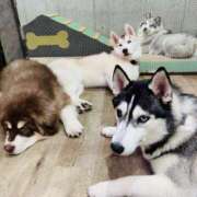 ヒメ日記 2025/05/01 22:32 投稿 千秋（チアキ） アバンチュール(五反田)