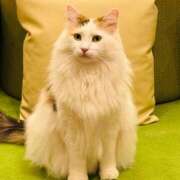 ヒメ日記 2025/05/18 09:01 投稿 千秋（チアキ） アバンチュール(五反田)