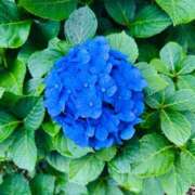 ヒメ日記 2025/06/11 21:31 投稿 千秋（チアキ） アバンチュール(五反田)