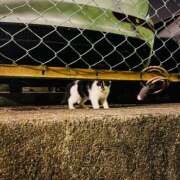 ヒメ日記 2025/06/19 13:46 投稿 千秋（チアキ） アバンチュール(五反田)