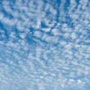 ヒメ日記 2025/08/29 21:46 投稿 千秋（チアキ） アバンチュール(五反田)