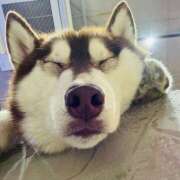 ヒメ日記 2025/10/16 23:31 投稿 千秋（チアキ） アバンチュール(五反田)