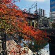 ヒメ日記 2025/11/15 21:46 投稿 千秋（チアキ） アバンチュール(五反田)