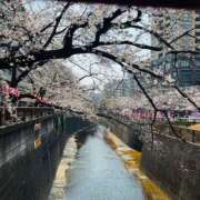 ヒメ日記 2026/03/31 20:01 投稿 千秋（チアキ） アバンチュール(五反田)