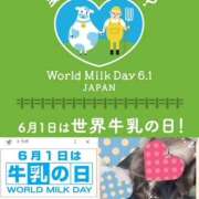 ヒメ日記 2024/06/01 09:23 投稿 ちはる(昭和41年生まれ) 熟年カップル名古屋～生電話からの営み～