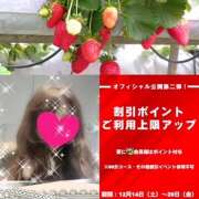 ヒメ日記 2024/12/15 10:49 投稿 ちはる(昭和41年生まれ) 熟年カップル名古屋～生電話からの営み～